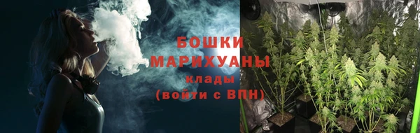сатива Богданович