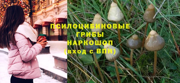 мет Бородино