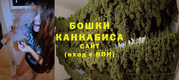сатива Богданович