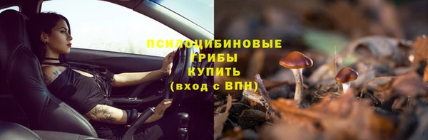 амф Богородицк