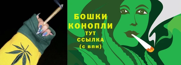 амф Богородицк