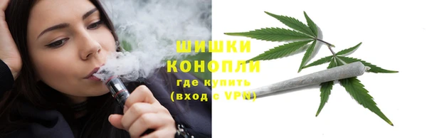сатива Богданович