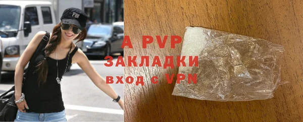 сатива Богданович