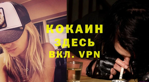 сатива Богданович