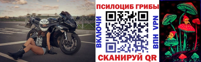 Купить  Киселёвск  Псилоцибиновые грибы мицелий 